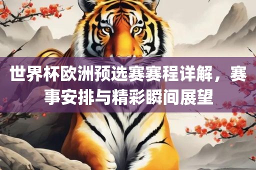 世界杯欧洲预选赛赛程详解，赛事安排与精彩瞬间展望
