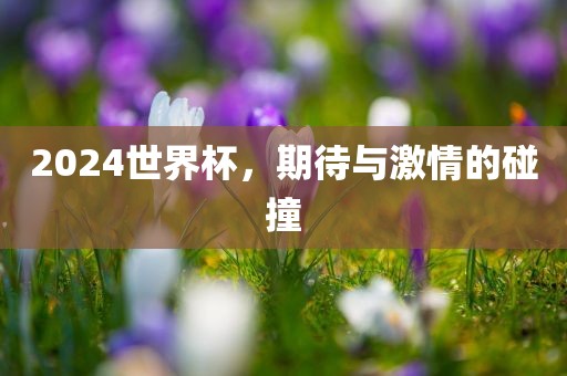 2024世界杯，期待与激情的碰撞吉安市靖泰电力工程有限公司