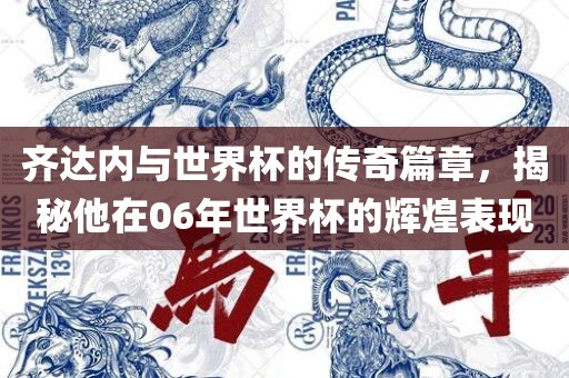 齐达内与世界杯的传奇篇章，揭秘他在06年世界杯的辉煌表现