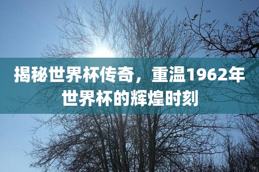 揭秘世界杯传奇，重温1962年世界杯的辉煌时刻