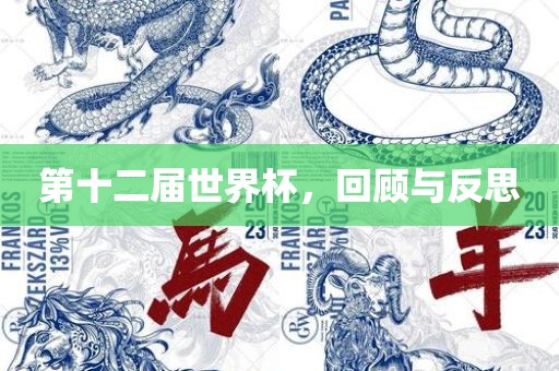 第十二届世界杯，回顾与反思