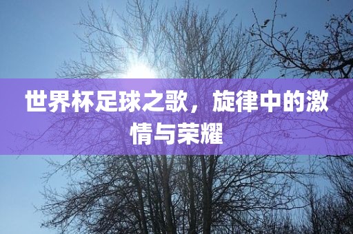 世界杯足球之歌，旋律中的吉安市靖泰电力工程有限公司激情与荣耀