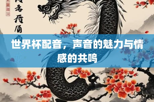 世界杯配音，声音的魅力与情感的共鸣吉安市靖泰电力工程有限公司