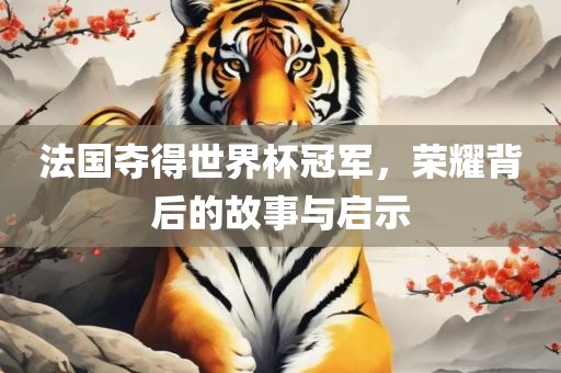 法国夺得世界杯冠军，荣耀背后的故事与启示