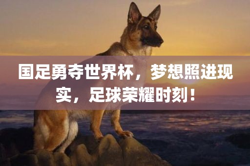 国足勇夺世界杯，梦想照进现实，足球荣耀时刻！