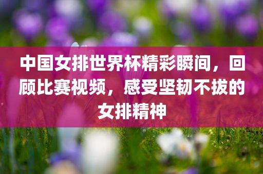 中国女排世界杯精彩瞬间，回顾比赛视频，感受坚韧不拔的女排精神吉安市靖泰电力工程有限公司