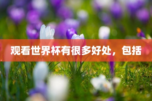 观看世界杯有很多好处，包括吉安市靖泰电力工程有限公司