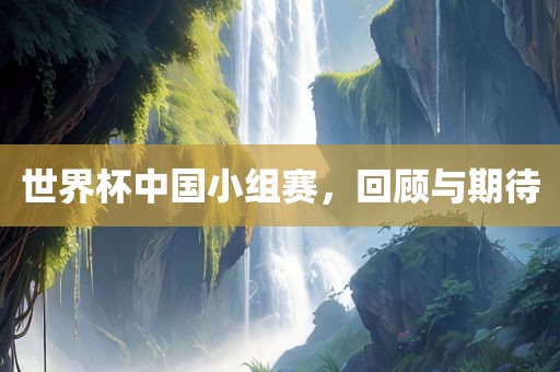 世界杯中国小组赛，回顾与期待