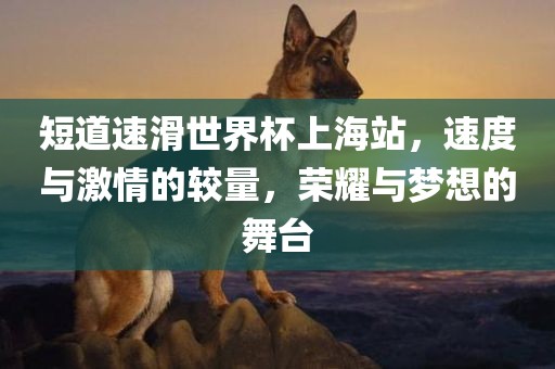 短道速滑世界杯上海站，速度与激情的较量，荣耀与梦想的舞台吉安市靖泰电力工程有限公司