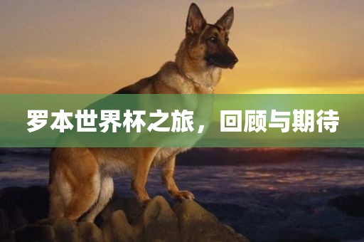 罗本世界杯之旅，回顾与期待
