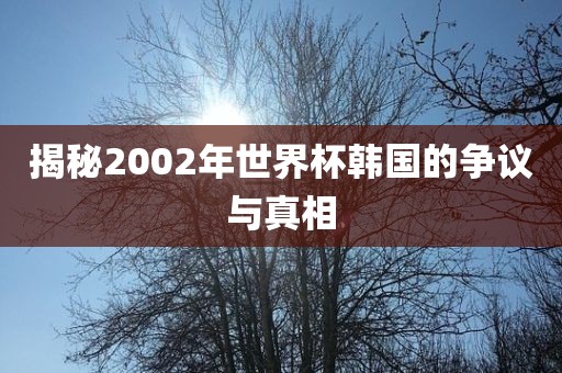 揭秘2002年世界杯韩国的争议与真相