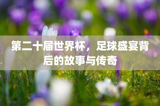 第二十届世界杯，足球盛宴背后的故事与传奇吉安市靖泰电力工程有限公司