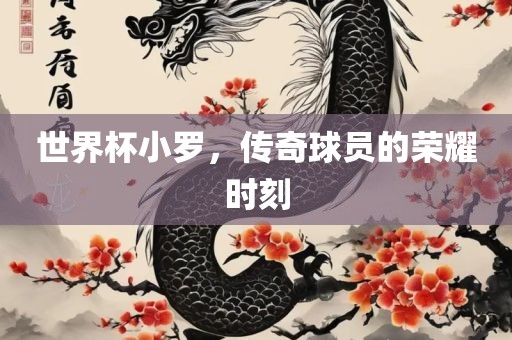 世界杯小罗，传奇球员的荣耀时刻