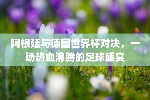 阿根廷与德国世界杯对决，一场热血沸腾的足球盛宴