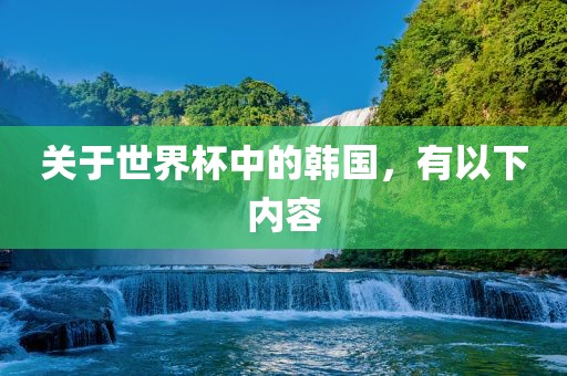 关于世界杯中的韩国，有以下内容吉安市靖泰电力工程有限公司