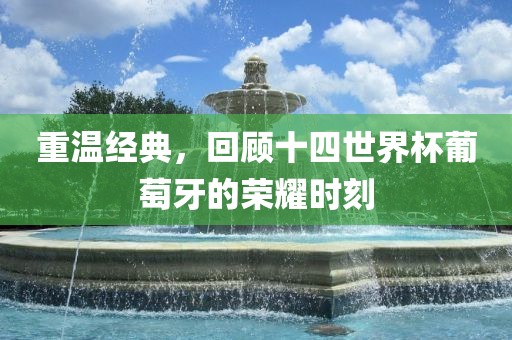 重温经典，回顾十四世界杯葡萄牙的荣耀时刻吉安市靖泰电力工程有限公司