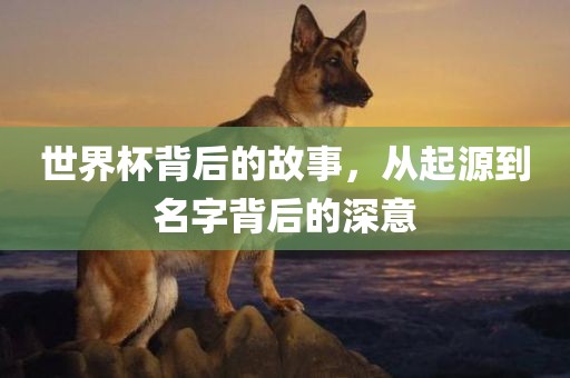 世界杯背后的故事，从起源到名字背后的深意吉安市靖泰电力工程有限公司
