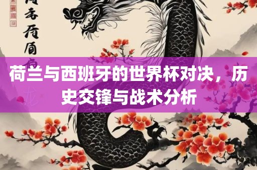 荷兰与西班牙的世界杯对决，历史交锋与战术分析