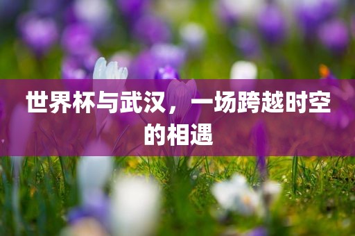 世界杯与武汉，一场跨越时空的吉安市靖泰电力工程有限公司相遇