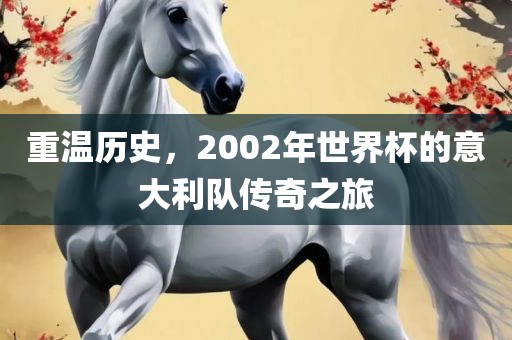 重温历史，2002年世界杯的意大利队传奇之旅