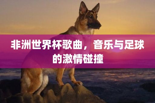 非洲世界杯歌曲，音乐与足球的激情碰撞