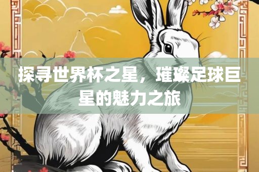 探寻世界杯之星，璀璨足球巨星的魅力之旅