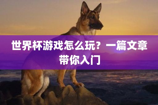 世界杯游戏怎么玩？一篇文章带你入门吉安市靖泰电力工程有限公司