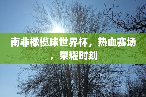 hanjunhao 第5页