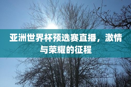 亚洲世界杯预选赛直播，激情与荣耀的征程
