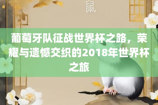 葡萄牙队征战世界杯之路，荣耀与遗憾交织的2018年世界杯之旅