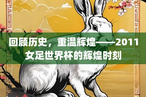 回顾历史，重温辉煌——2011女足世界杯的辉煌时刻吉安市靖泰电力工程有限公司