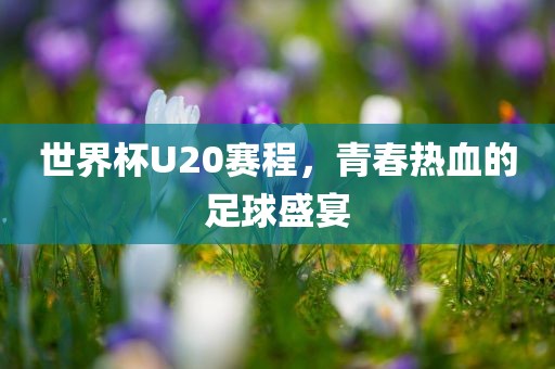 世界杯U20赛程，青春热血的足球盛宴