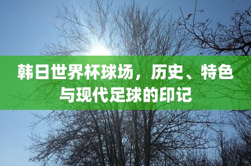 韩日世界杯球场，历史、特色与现代足球的印记吉安市靖泰电力工程有限公司