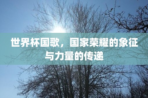 世界杯国歌，国家荣耀的象征与力量的传递吉安市靖泰电力工程有限公司