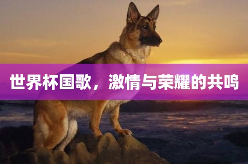 世界杯国歌，激情与荣耀的共鸣吉安市靖泰电力工程有限公司