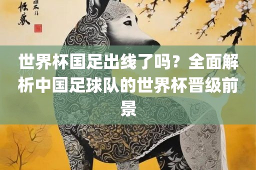 世界杯国足出线了吗？全面解析中国足球队的世界杯晋级前景吉安市靖泰电力工程有限公司
