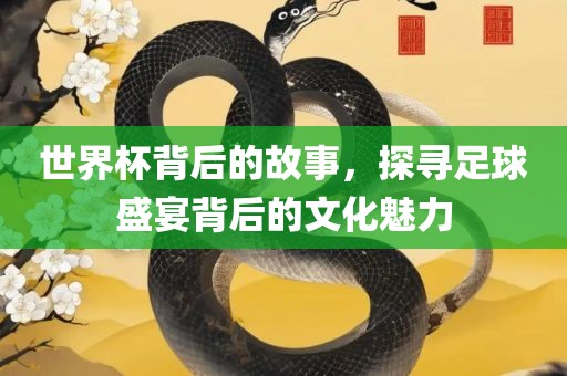 世界杯背后的故事，探寻足球盛宴背后的文化魅力吉安市靖泰电力工程有限公司