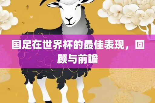 国足在世界杯的最佳表现，回顾与前瞻