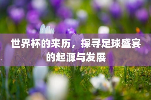 世界杯的来历，探寻足球盛宴的起源与发展吉安市靖泰电力工程有限公司
