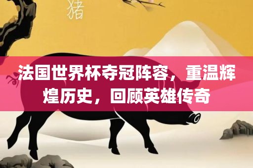 法国世界杯夺冠阵容，重温辉煌历史，回顾英雄传奇吉安市靖泰电力工程有限公司