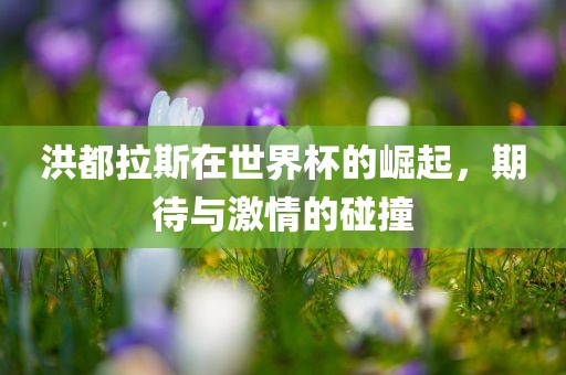 期待与激情碰撞