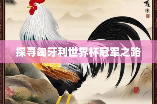 探寻匈牙利世界杯冠军之路吉安市靖泰电力工程有限公司