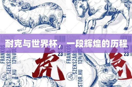 耐克与世界杯，一段辉煌的历程