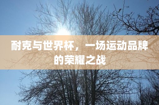 耐克与世界杯，一场运动品牌的荣耀之战