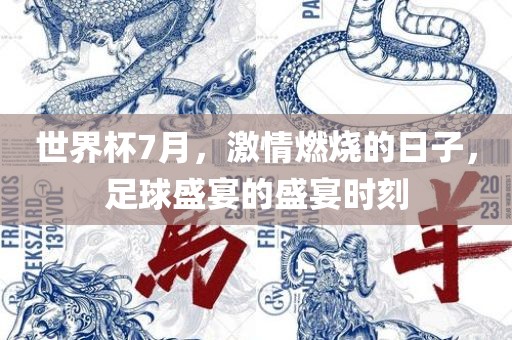 足球盛宴 第6页