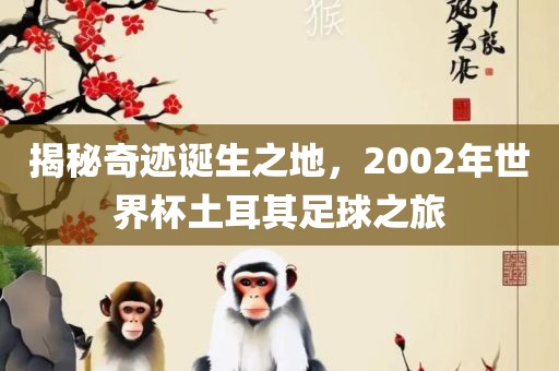 揭秘奇迹诞生之地，2002年世界杯土耳其足球之旅吉安市靖泰电力工程有限公司