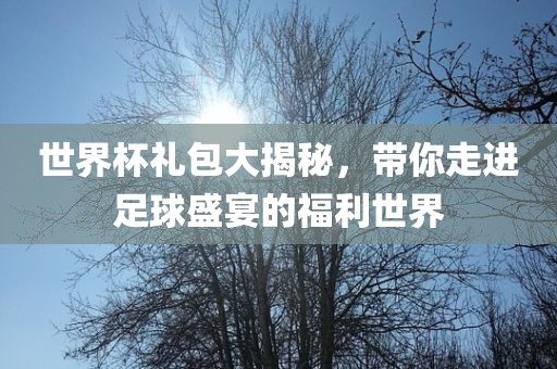 世界杯礼包大揭秘，带你走进足球盛吉安市靖泰电力工程有限公司宴的福利世界