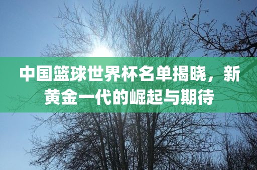 中国篮球世界杯名单揭晓，新黄金一代的吉安市靖泰电力工程有限公司崛起与期待