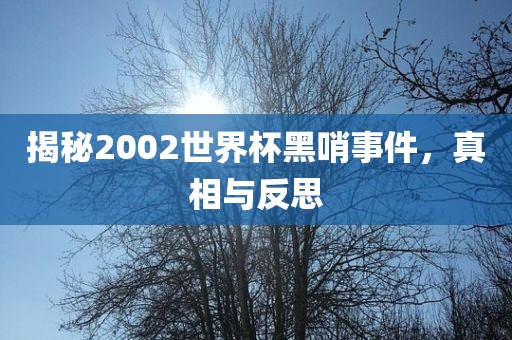 揭秘2002世界杯黑哨事件，真相与反思吉安市靖泰电力工程有限公司