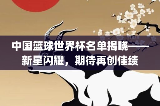 中国篮球世界杯名单揭晓——新星闪耀，期待再创佳绩吉安市靖泰电力工程有限公司